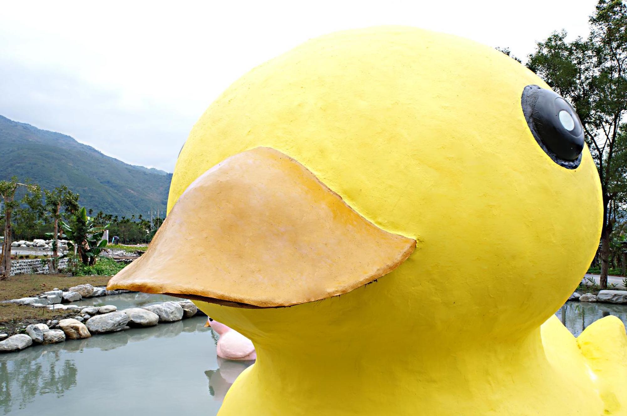 依比鴨鴨水岸會館 Ducking House Bed and Breakfast Ruisui Exteriör bild